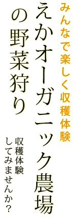 大切に育てた有機野菜をお届けする えかオーガニック農場