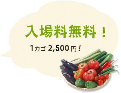大切に育てた有機野菜をお届けする えかオーガニック農場 大切に育てた有機野菜をお届けする えかオーガニック農場