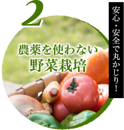 安心・安全で丸かじり！農薬を使わない有機野菜