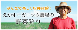 みんなで楽しく収穫体験！ えかオーガニック農場の野菜狩り