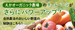 えかオーガニック農場のホームページがさらにパワーアップ!自然農法のおいしい野菜の秘訣はこちら!